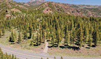 8 Mormon Creek Rd, Cody, WY 82414