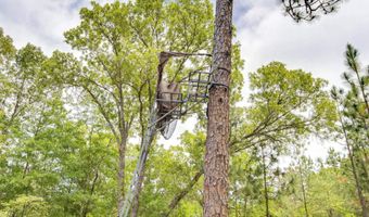 471 Mustang Rd, Camden, SC 29020