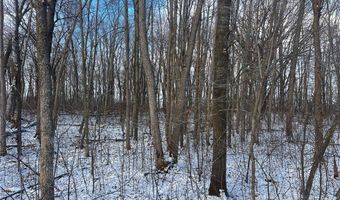 Lot 2 105th Street, Amery, WI 54001