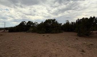35 County Road 3044, Concho, AZ 85924