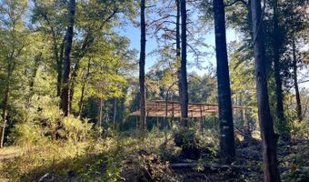 0 Lloyd Mill Rd, Andalusia, AL 36421