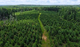 County Road 25, Banks, AL 36005