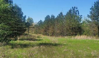 Rutherford Road, Batesville, MS 38606