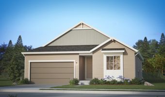 4135 Runyon Lake St, Brighton, CO 80601