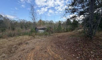 393 SW Cripple Ln, Brookhaven, MS 39601