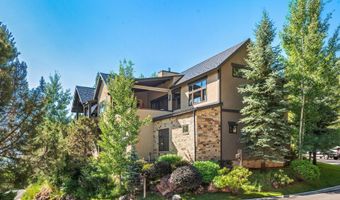 102 Wild Spring Ln, Basalt, CO 81621