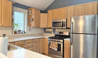 2564 E Brutus, Alanson, MI 49706