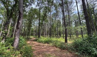 Fox Paw Court, Branchville, SC 29432