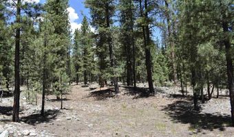 80 Ranch Rd, Bayfield, CO 81122