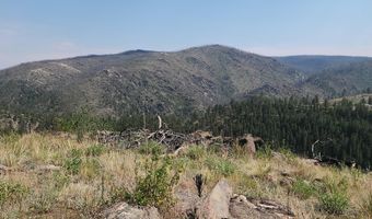 693 Cougar Dr, Bellvue, CO 80512