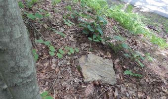 Pine Cliff Road, Alstead, NH 03602