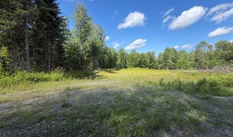 38 Monument Rd, Abbot, ME 04406