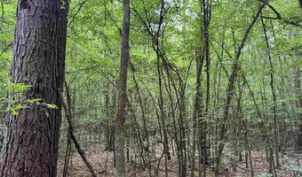 mt Olive Road, Arkadelphia, AR 71923