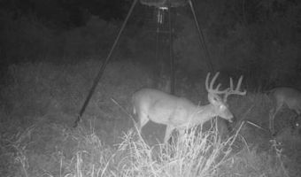 16 89 Acres N Hwy 281 Lot 0, Alice, TX 78332