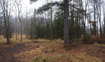 N10595 HWY 45, Aniwa, WI 54414