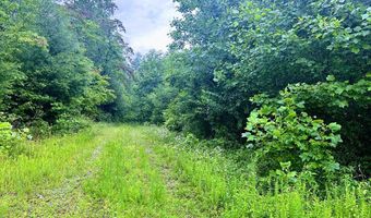 13 44 Ac Chestnut Ridge Rd, Allardt, TN 38504