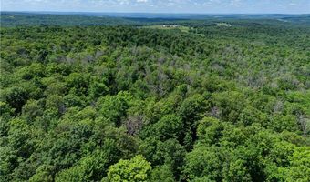 9085 Old State Rd, Angelica, NY 14709