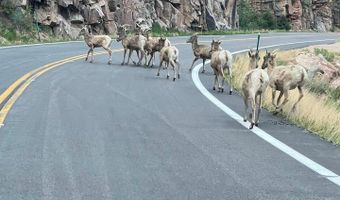 44174 Poudre Canyon Rd, Bellvue, CO 80512