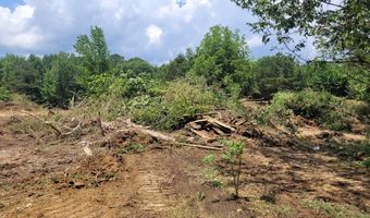 484 Naples Ln, Arab, AL 35016