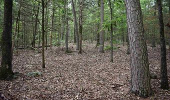 10355 Rodeo Rd, Belleville, AR 72824