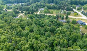 9325 S Cedar Dr, Allendale, MI 49401