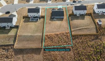 45 Florentine Ct, Angier, NC 27501
