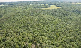 COUNTY ROAD 22, Arley, AL 35541