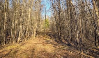 Farris Rd, Atoka, OK 74525