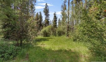 1597 Annies Lndg, Ashton, ID 83420