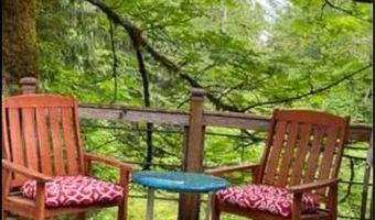 24706 NE Columbia Tie Rd 28-7, Amboy, WA 98601