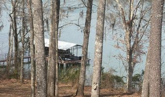 2422 County Road 97, Abbeville, AL 36310