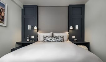 704 E Hyman Ave, Aspen, CO 81611