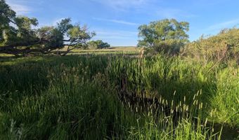 3834 Road 209, Cheyenne, WY 82007