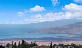 35 Kau St, Kula, HI 96790