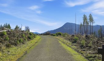 53189 MCKENZIE Hwy, Blue River, OR 97413
