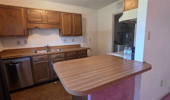 1323 Timberview Dr, Allen, TX 75002