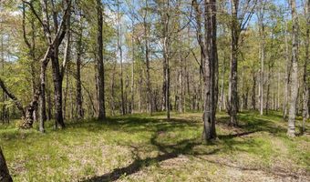 27 Woodtrail Way, Arden, NC 28704