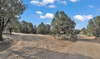 77 North Rd, Carson, NM 87517