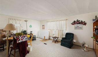 346 Windmill Palm St, Alamo, TX 78516