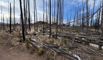 2025 Granite Rd, Bellvue, CO 80512