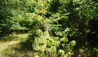000 Stokes Rd, Bald Knob, AR 72010