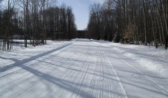 11190 Hassler Woods Trl, Alanson, MI 49706