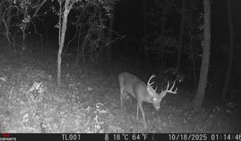 SEC33-TO2N-R21E KTrail, Albion, OK 74521