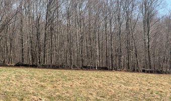 Lot 2 Doig Hollow Road, Andes, NY 13731