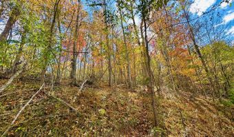 595 Rock Creek Ridge Rd, Bakersville, NC 28705