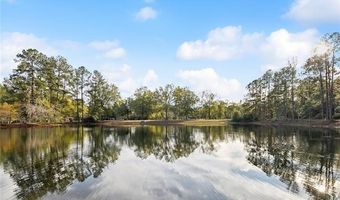 61180 DOE RUN Dr, Amite, LA 70422