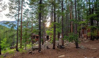 1217 Big Owl Rd, Allenspark, CO 80510