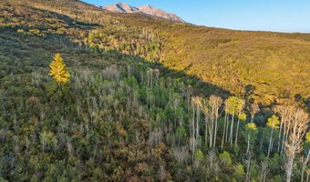 Old Herron Road lot 48, Basalt, CO 81621