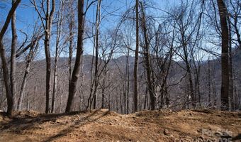 11 Taryn Trce 16, Barnardsville, NC 28709