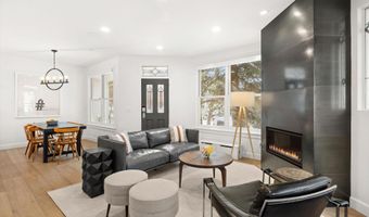 101 E Bleeker St A, Aspen, CO 81611